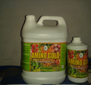 amino gold